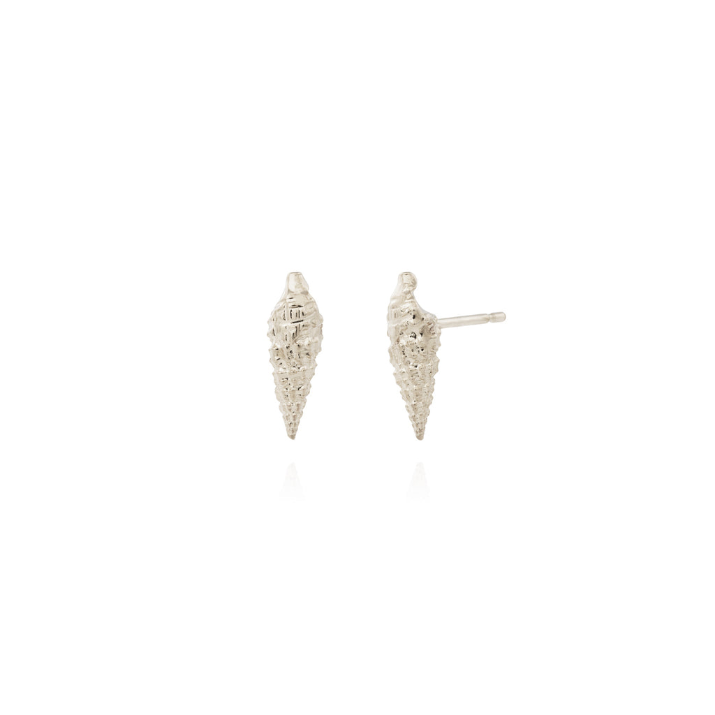 Silver shell studs