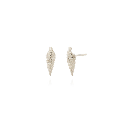 Silver shell studs